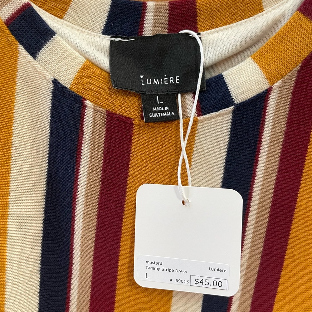 NWT Lumiere Striped Dress - Picture 4 of 4